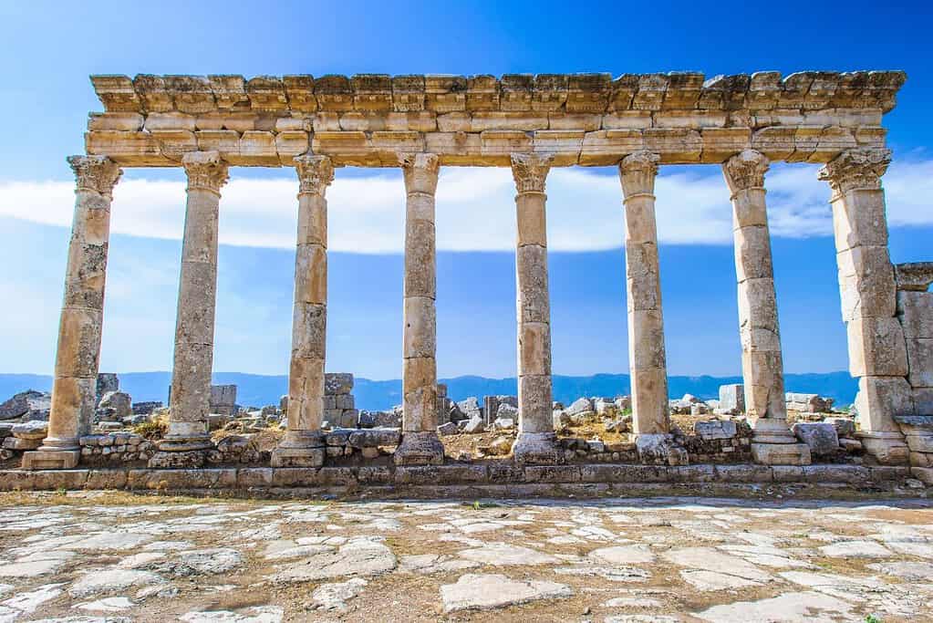 Apamea 6 Apamea