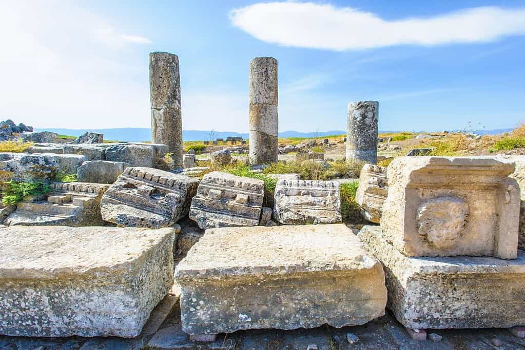 Apamea 7 Apamea