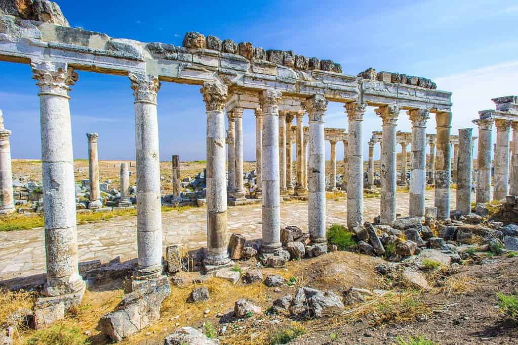 Apamea 8 Apamea