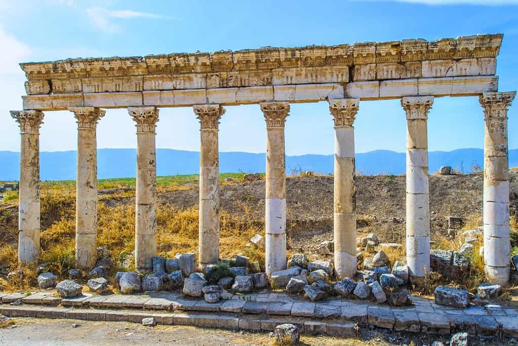 Apamea Afamia Apamea (Afamia)