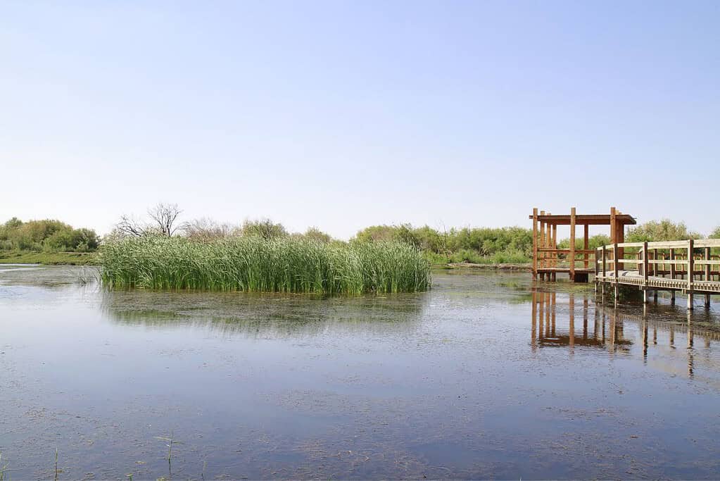 Azraq 7 Azraq