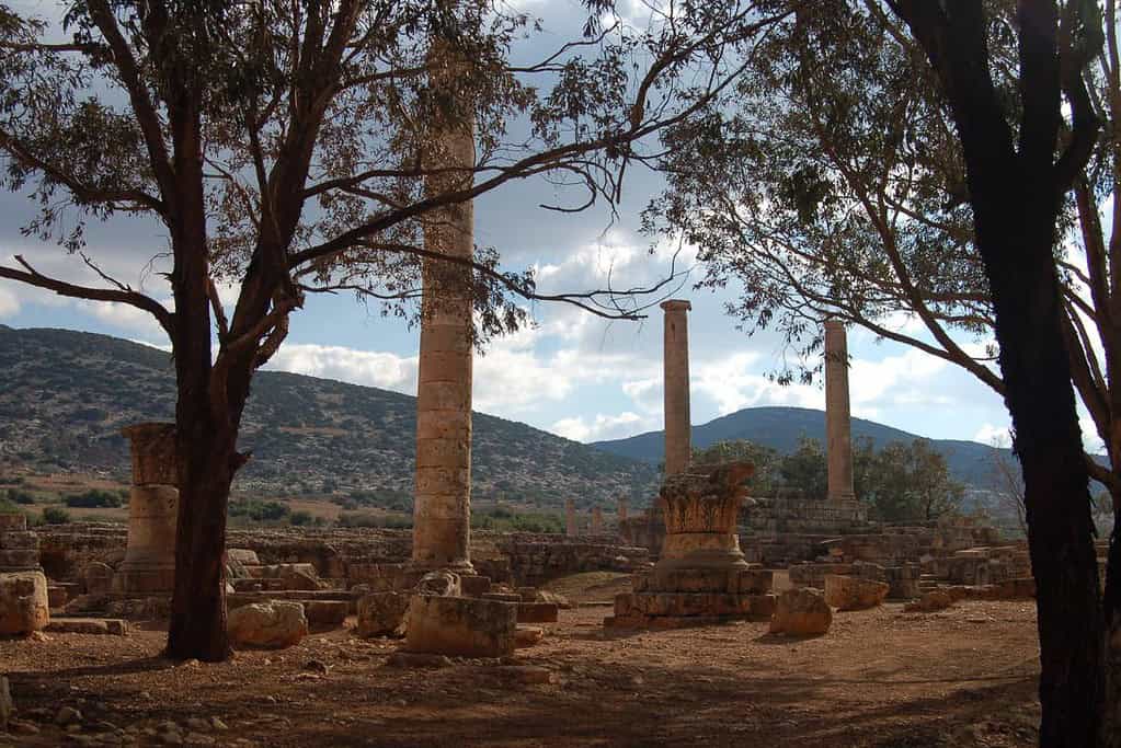 Benghazi tours in Libya