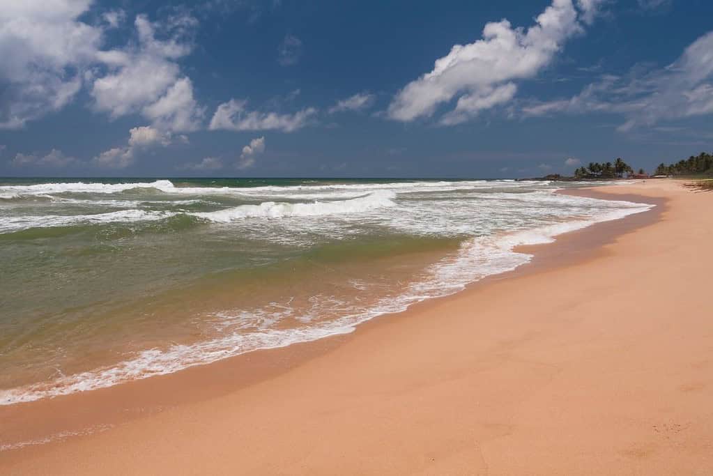 Bentota Beach 6 Bentota Beach