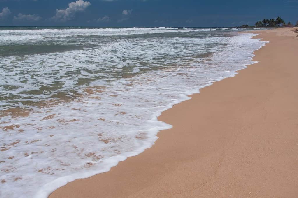 Bentota Beach 8 Bentota Beach