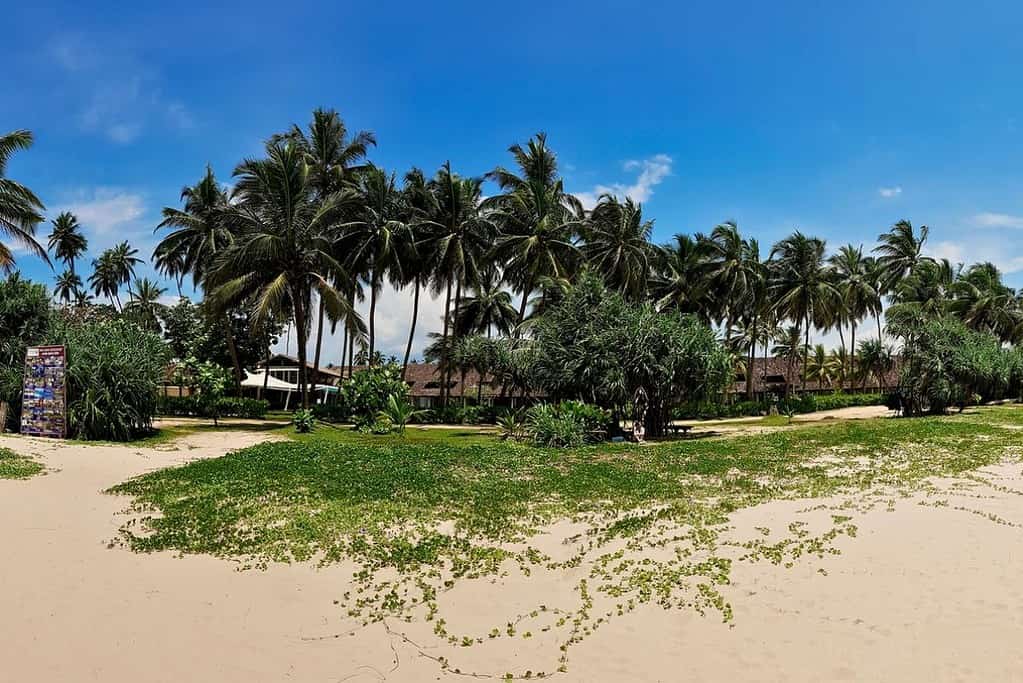 Bentota Beach Sri Lanka 1 Bentota Beach - Sri Lanka