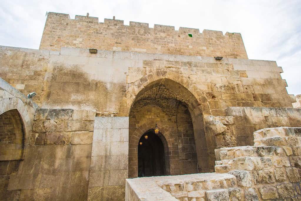 Citadel of Aleppo 2 Citadel of Aleppo