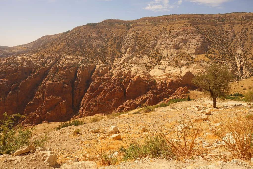 Dana Biosphere Reserve 6 Dana Biosphere Reserve