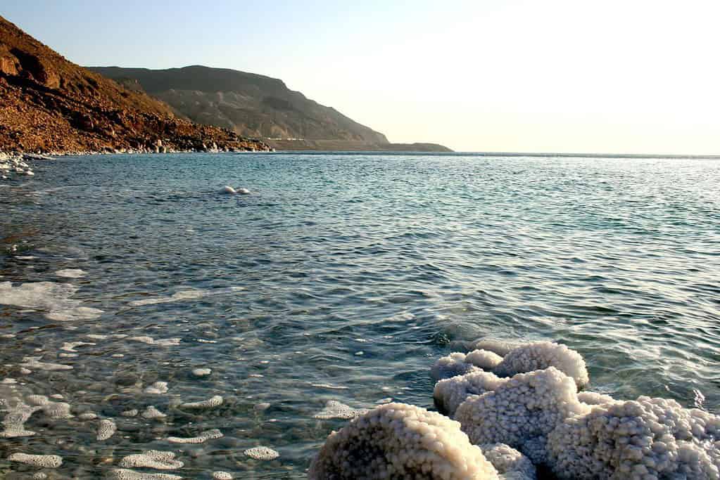 Dead Sea Dead Sea