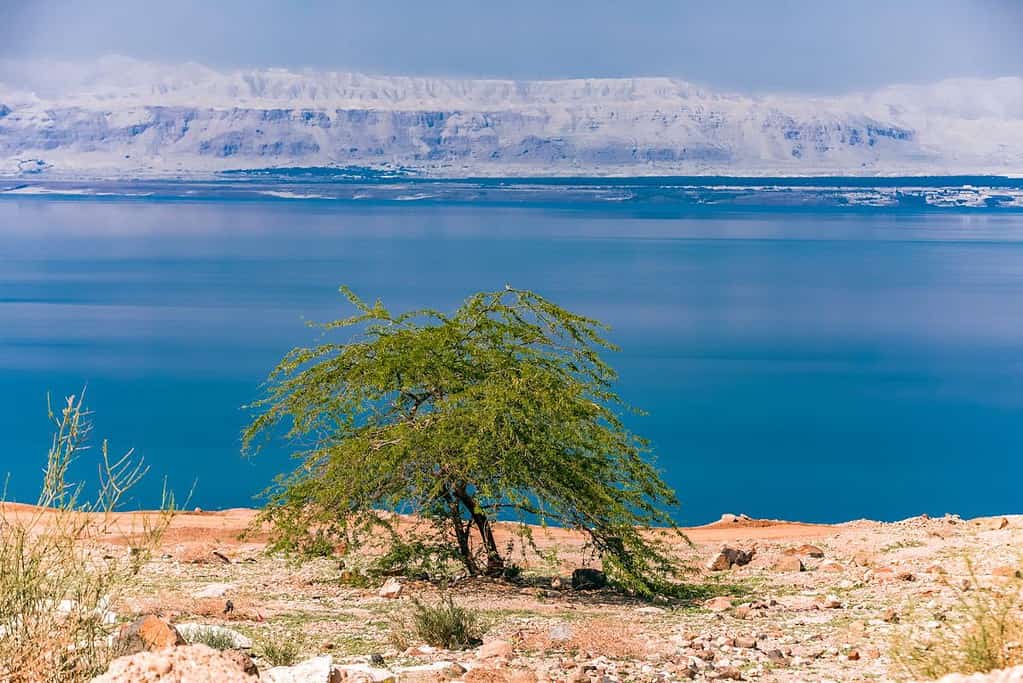 Dead Sea 3 Dead Sea