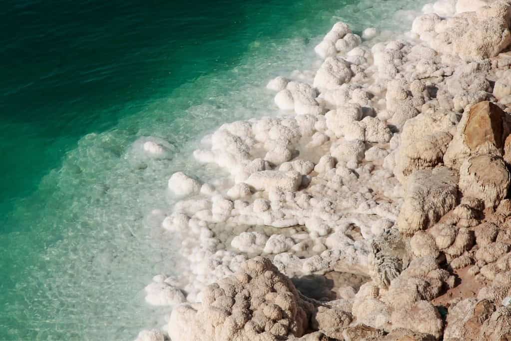 Dead Sea 4 Dead Sea