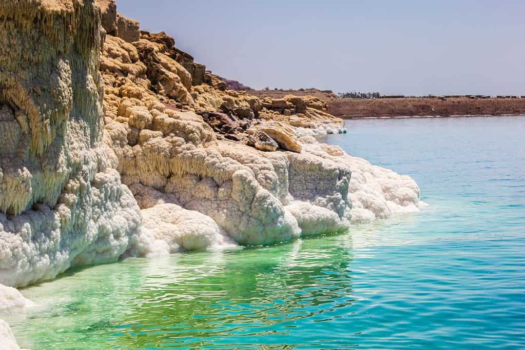 Dead Sea 7 Dead Sea