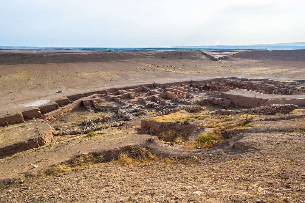 Ebla 7 Ebla