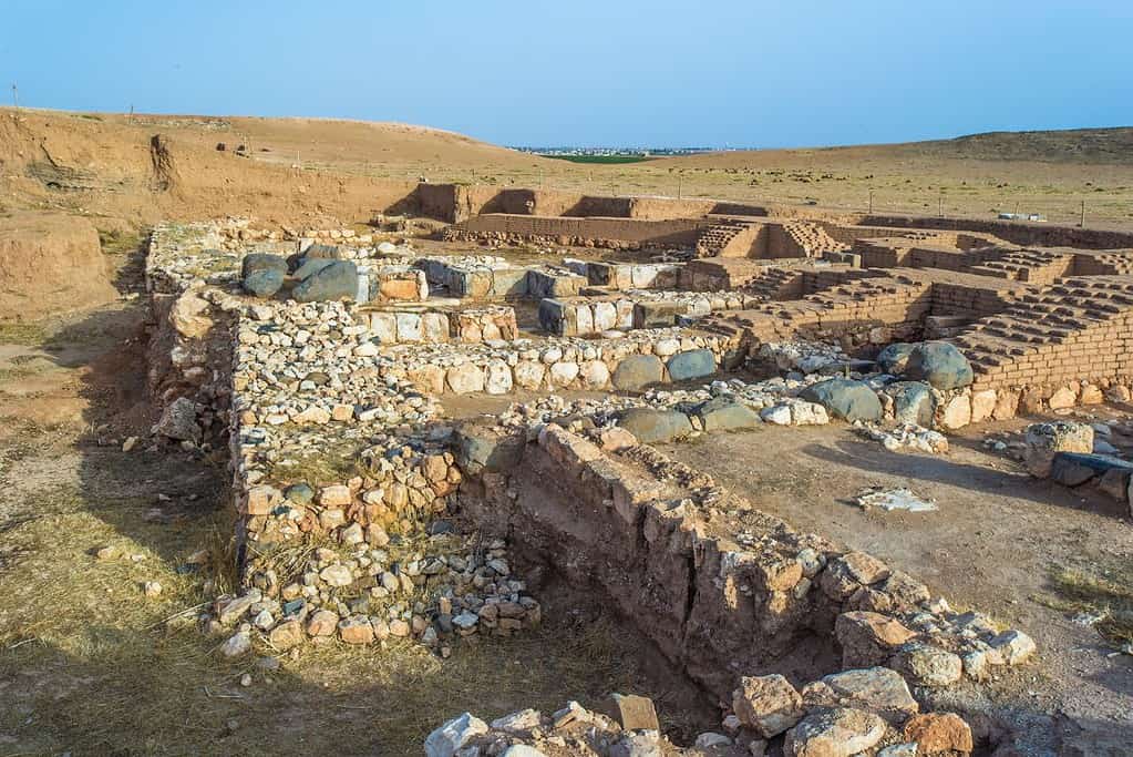 Ebla 8 Ebla