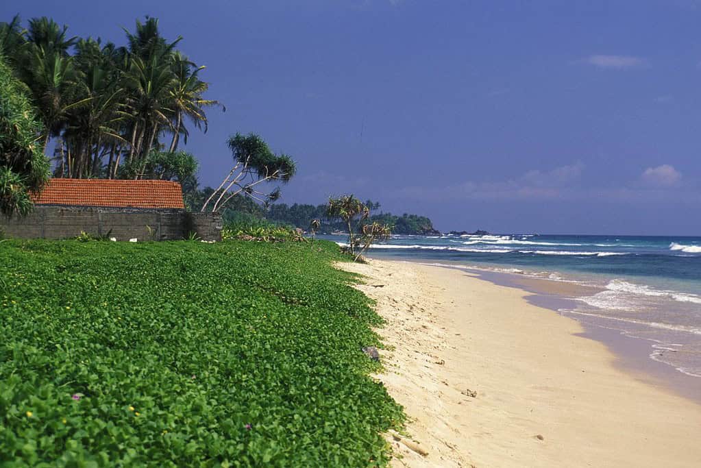 Hikkaduwa Beach Hikkaduwa Beach