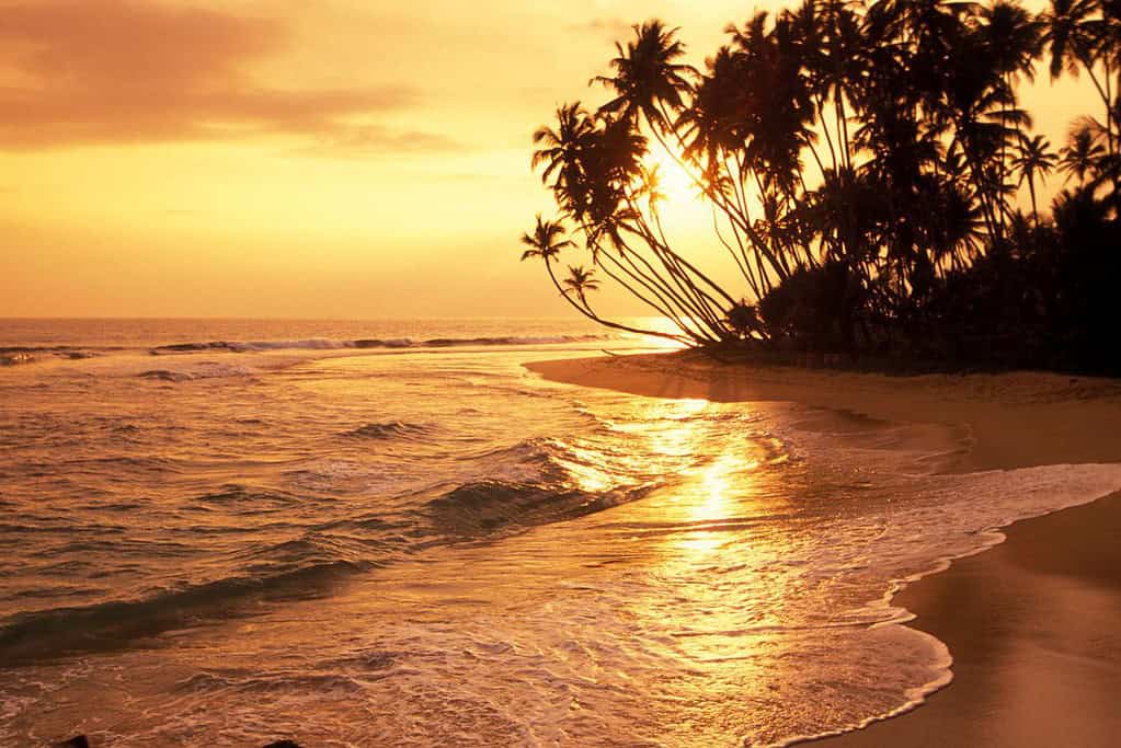 Hikkaduwa Beach Sri Lanka 1 Hikkaduwa Beach - Sri Lanka