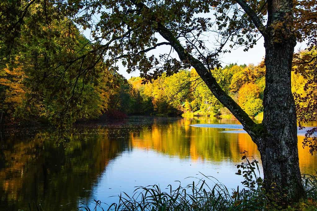Hiraizumi – Temples Gardens and Archaeological Sites Representing the Buddhist Pure Land UNESCO sites Hiraizumi – Temples, Gardens and Archaeological Sites Representing the Buddhist Pure Land