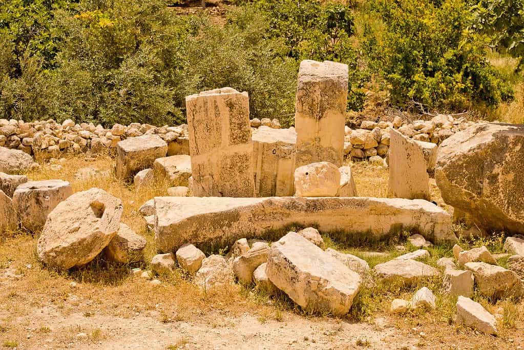 Iraq Al Amir 7 Iraq Al Amir