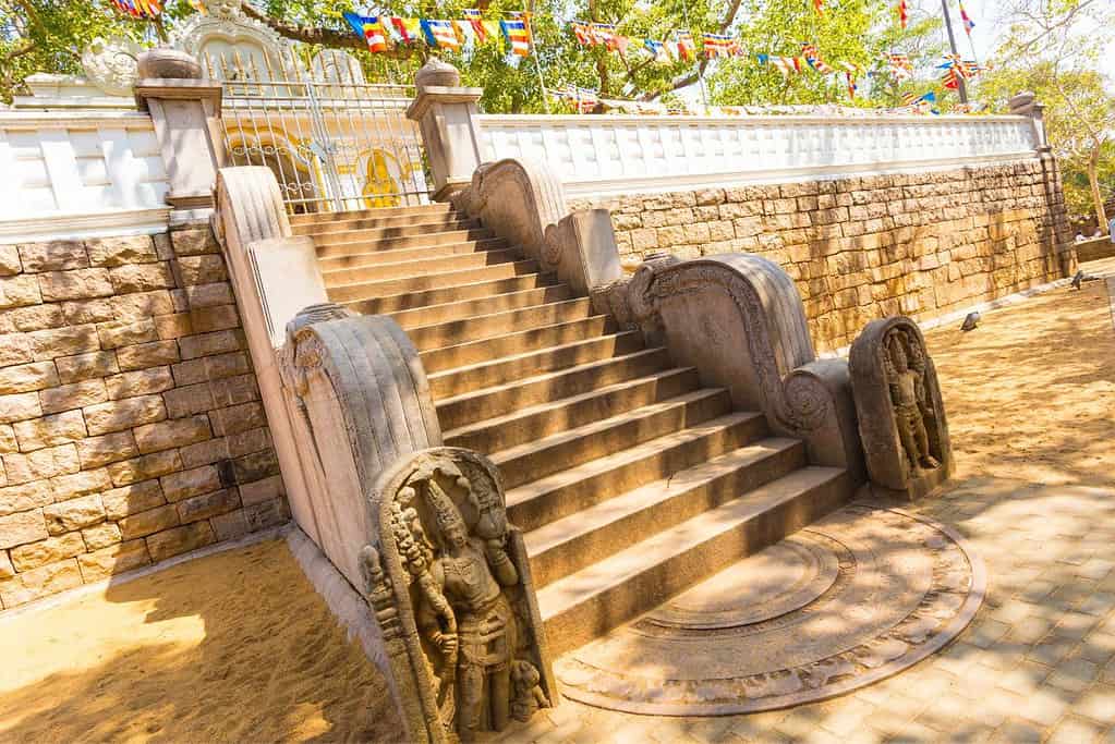 Jaya Sri Maha Bodhi 7 Jaya Sri Maha Bodhi