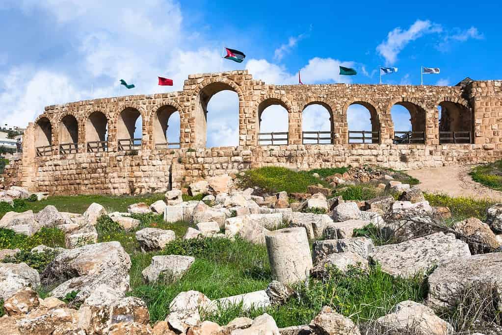 Jerash 5 Jerash