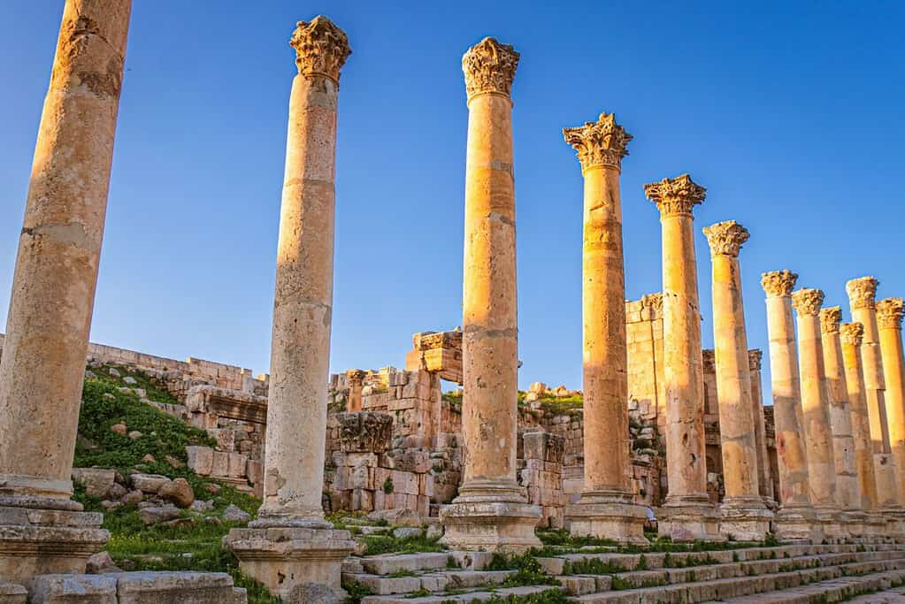 Jerash Jordan 2 Jerash - Jordan