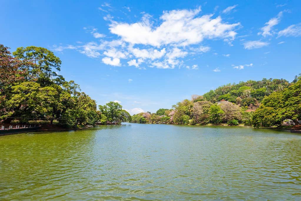 Kandy Lake 10 Kandy Lake