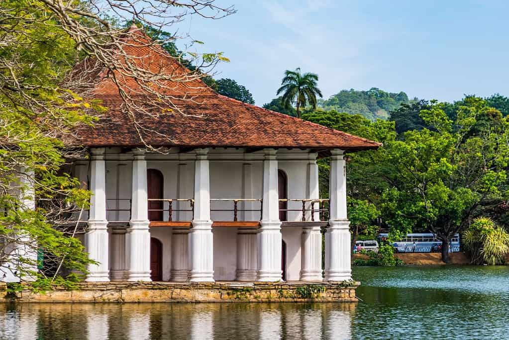 Kandy Lake Sri Lanka 2 Kandy Lake - Sri Lanka
