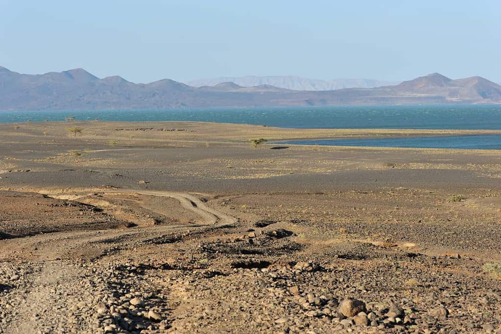Lake Turkana National Parks UNESCO sites Lake Turkana National Parks