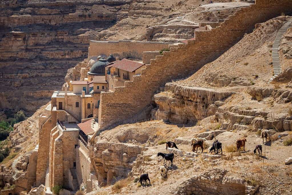 Mar Saba Monastery 2 Mar Saba Monastery