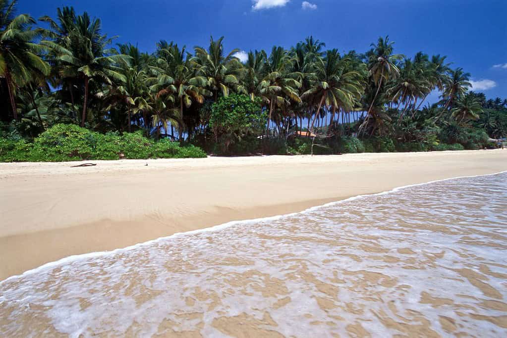 Mirissa Beach 3 Mirissa Beach