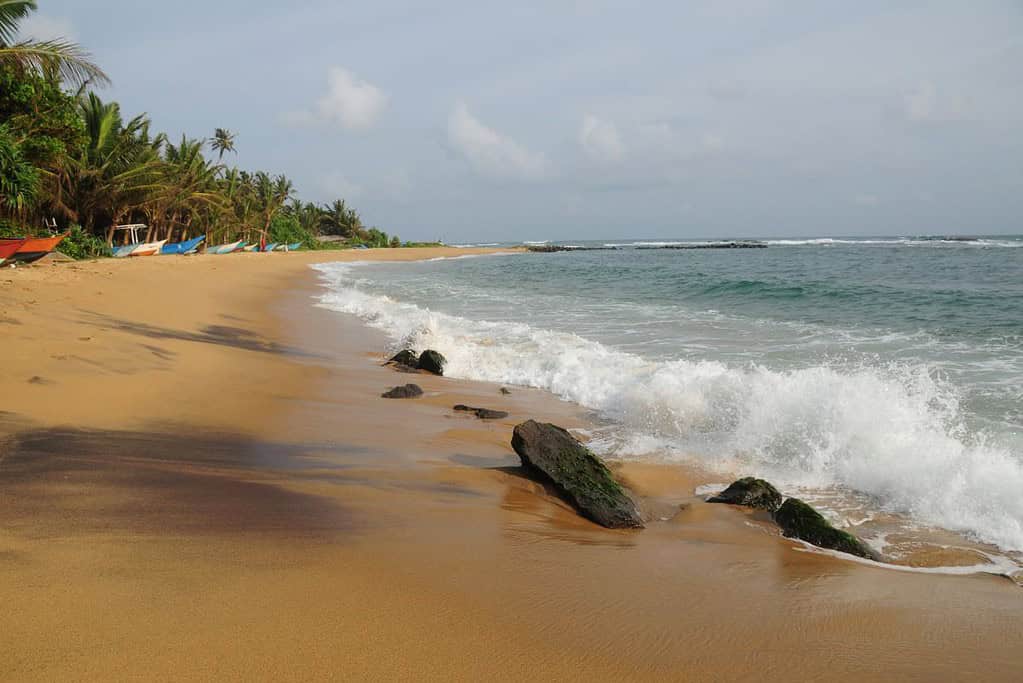 Mirissa Beach 5 Mirissa Beach