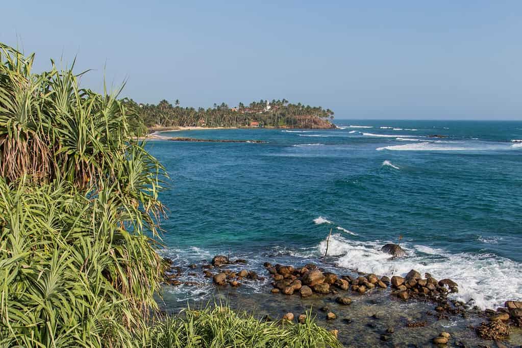Mirissa Beach 6 Mirissa Beach