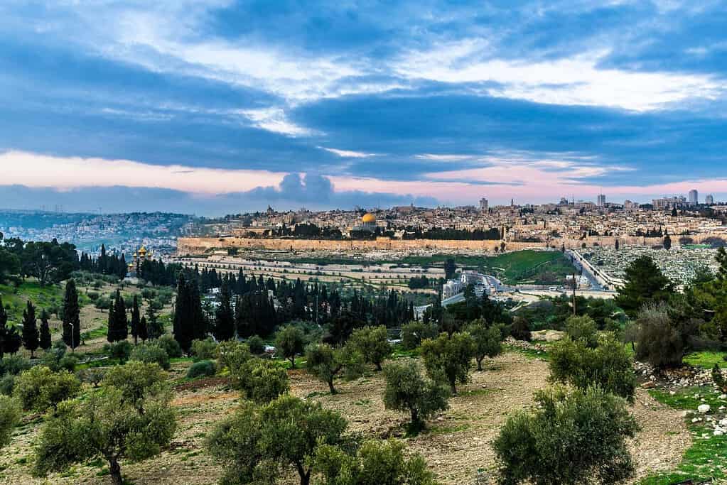 Mount of Olives 10 Mount of Olives