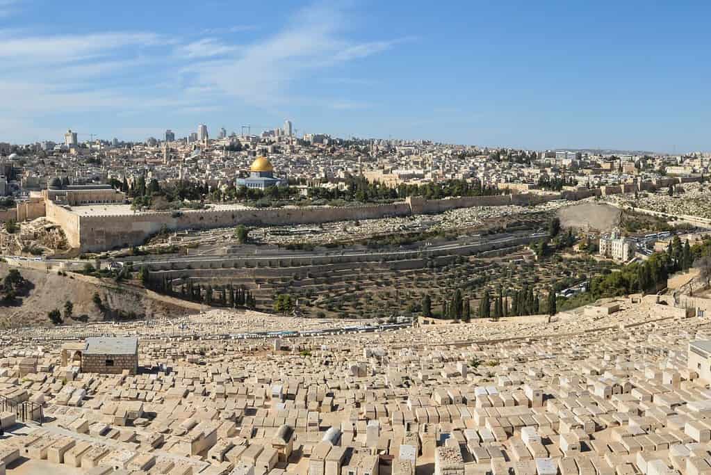 Mount of Olives Mount of Olives