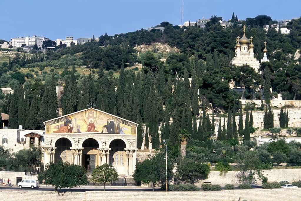 Mount of Olives 4 Mount of Olives