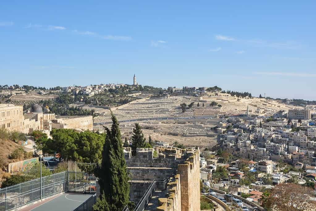 Mount of Olives 5 Mount of Olives
