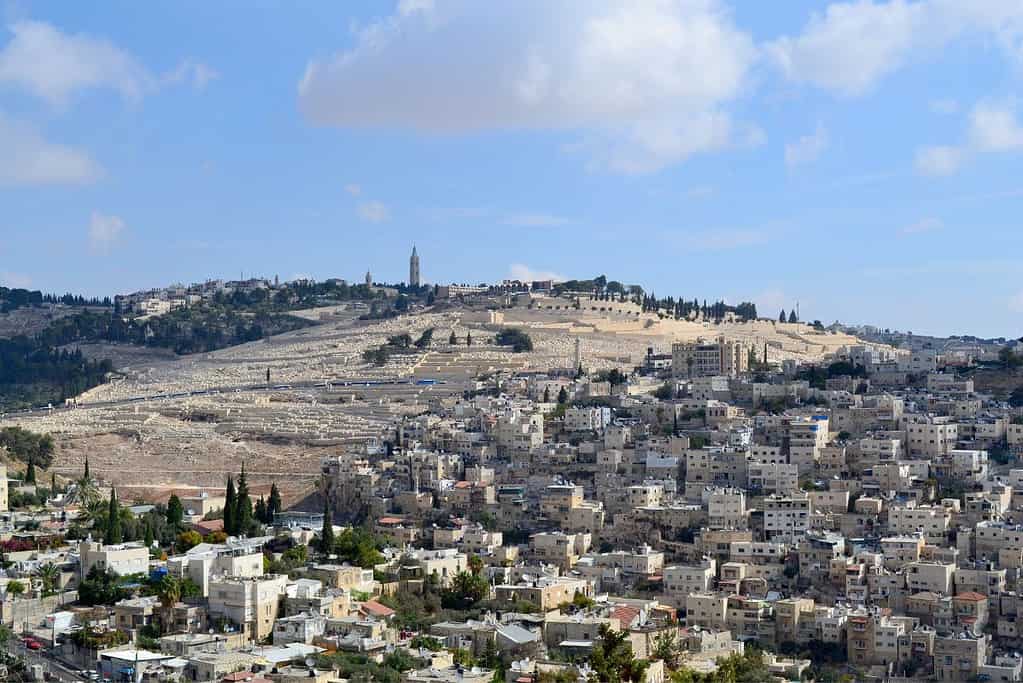 Mount of Olives 8 Mount of Olives