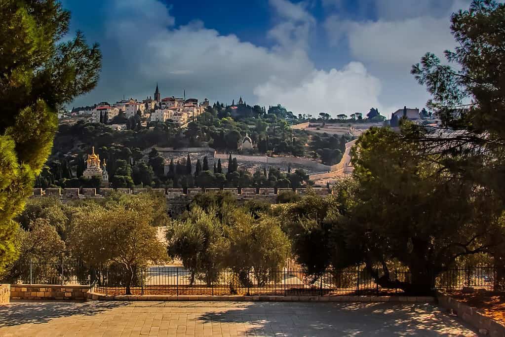 Mount of Olives Palestine Mount of Olives Palestine