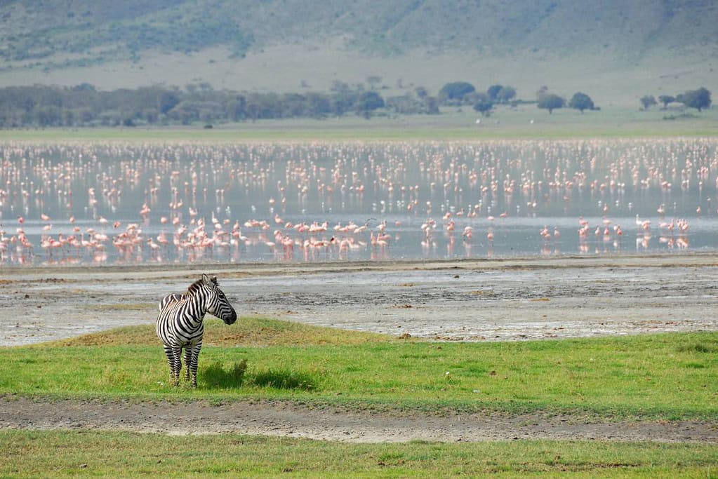 Ngorongoro Conservation Area UNESCO sites Ngorongoro Conservation Area