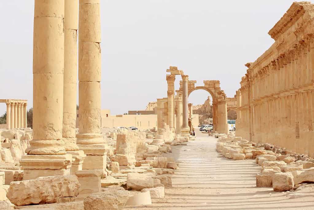 Palmyra Palmyra