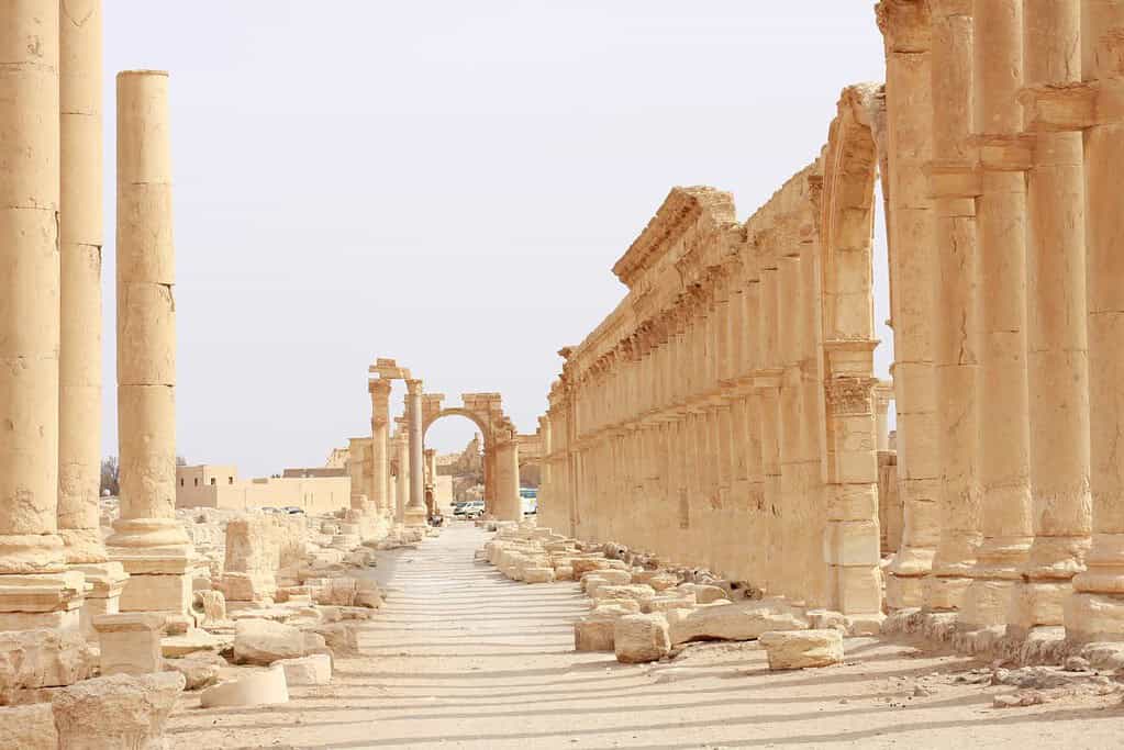 Palmyra 3 Palmyra