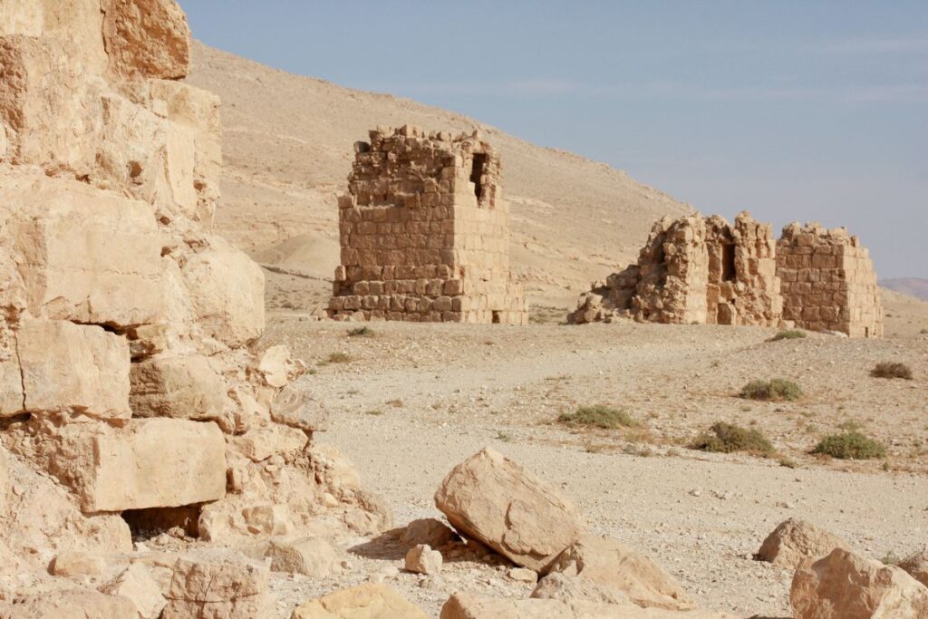 Palmyra 5 Palmyra