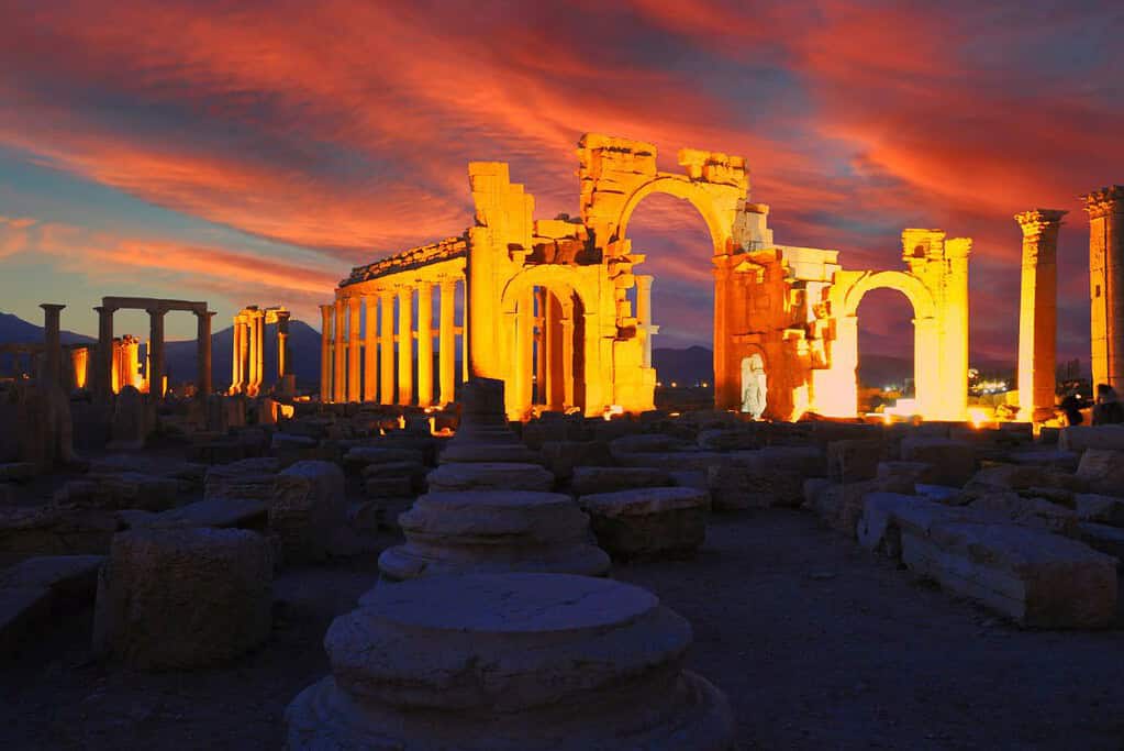 Palmyra 6 Palmyra