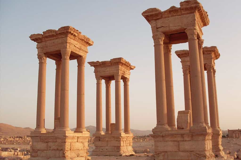 Palmyra 7 Palmyra