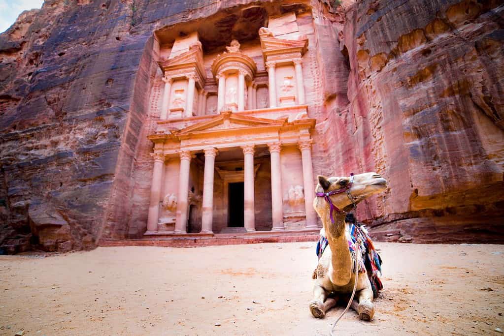 Petra 5 Petra