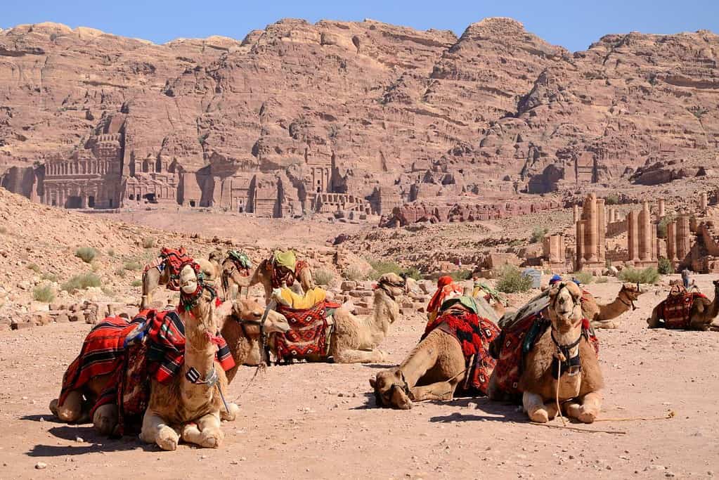 Petra 7 Petra