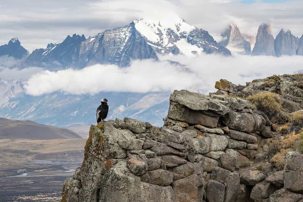 Qhapaq Nan Andean Road System 4 UNESCO sites Qhapaq Ñan, Andean Road System