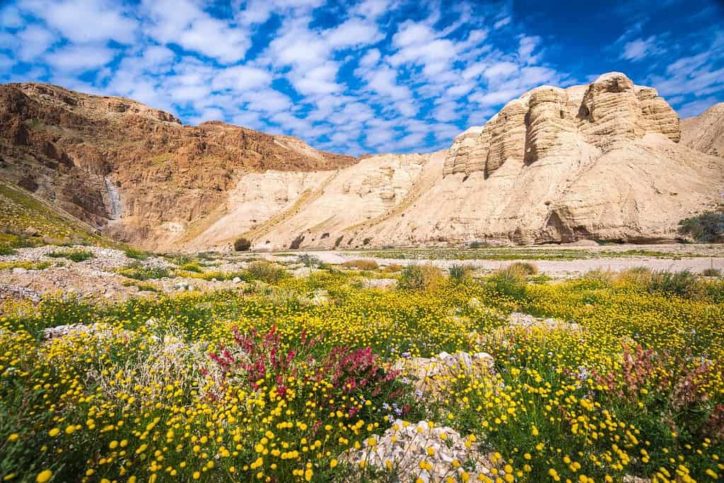 Qumran Caves 3 Attractions Qumran Caves