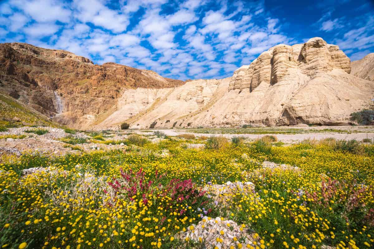 Qumran Caves