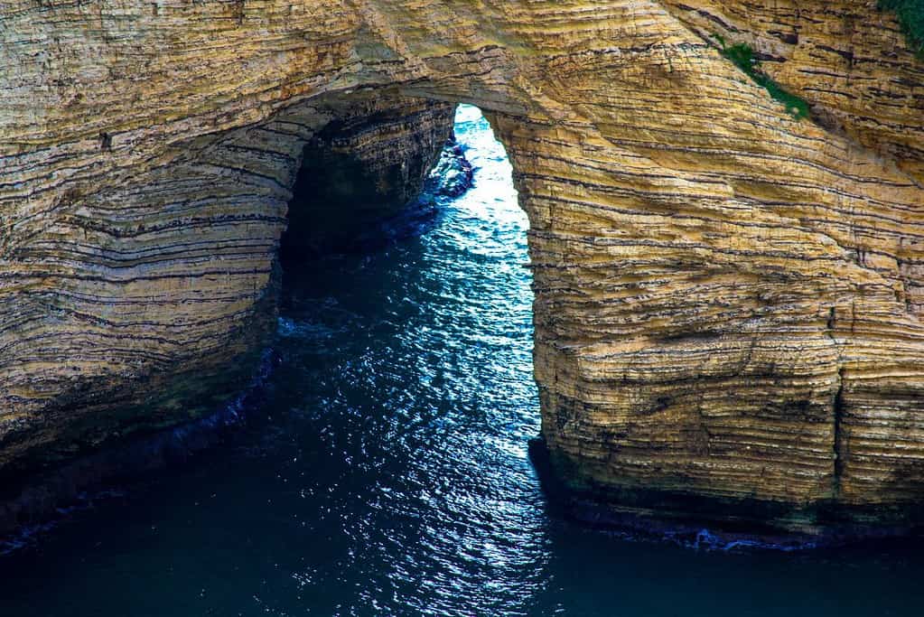 Rouche Sea Rock 10 Rouche Sea Rock