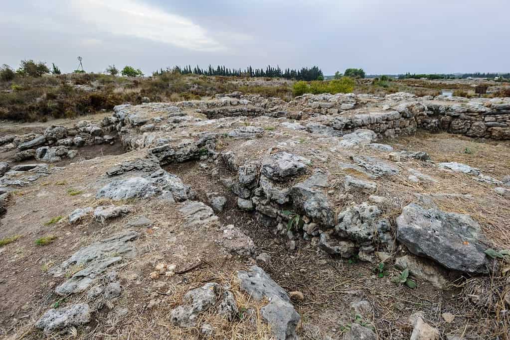 Royal Palace of Ugarit 4 Royal Palace of Ugarit